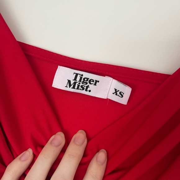 Tiger Mist Red Slip Dress - Picture 3 of 4